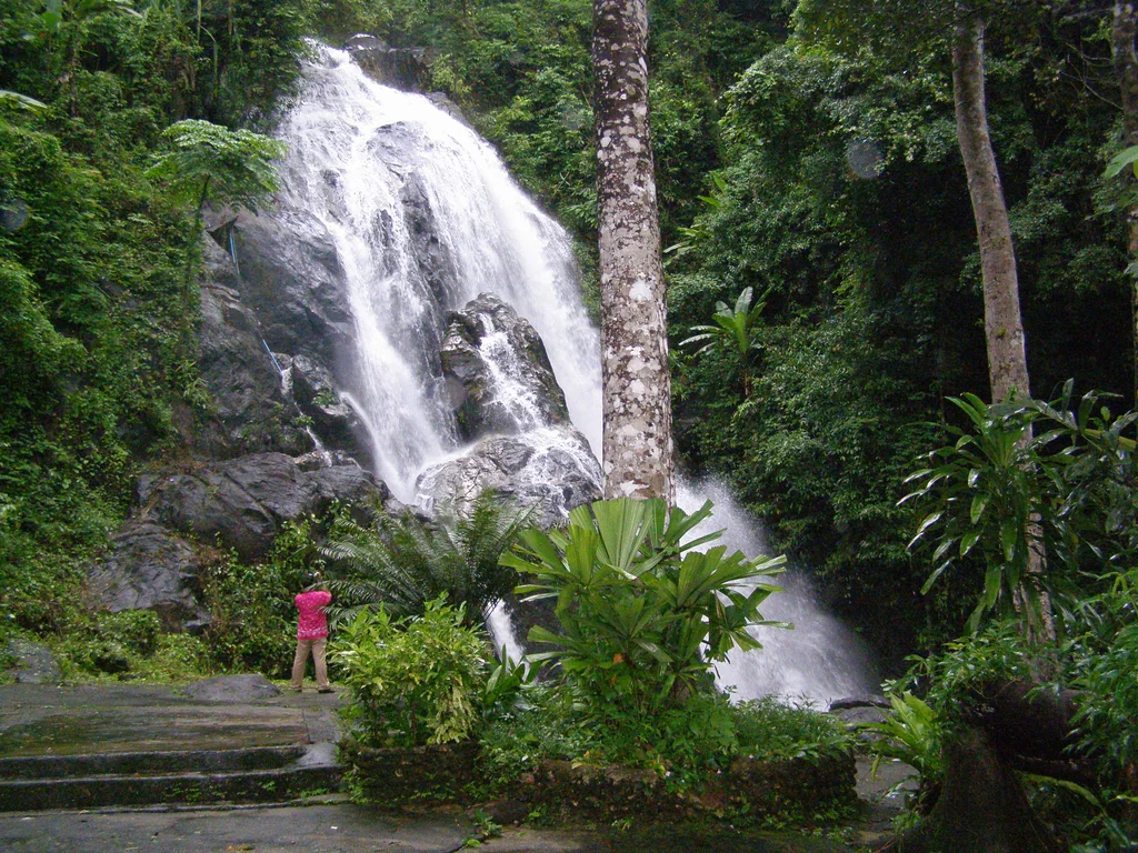 Waterfall flowing through dense green forest in Ranong Province